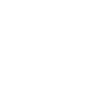 PAN N ICE